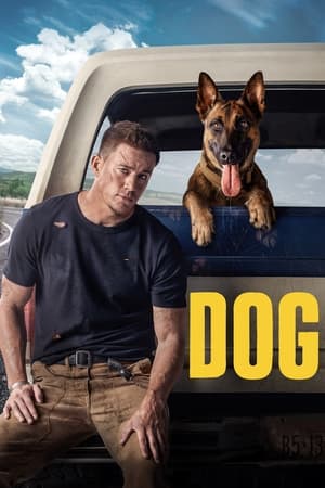 Dog (2022) Hindi Dual Audio HDRip | Hindi Dubbed Movie – 480p