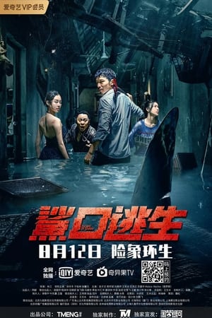 Escape of Shark (2021) Hindi Dual Audio HDRip | Hindi Dubbed Movie – 480p