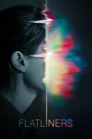 Flatliners (2017) Hindi Dual Audio HDRip | Hindi Dubbed Movie – 480p