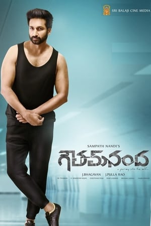 Goutham Nanda (2017) (Hindi – Telugu) Dual Audio UnCut HDRip | Hindi Dubbed Movie – 480p