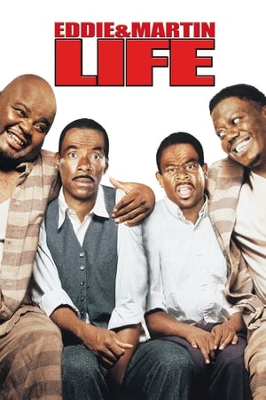 Life (1999) Hindi Dual Audio | Hindi Dubbed Movie BluRay 350MB