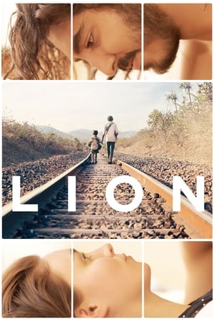 Lion (2016) Movie BluRay | Hindi Dubbed Movie [350MB] Download