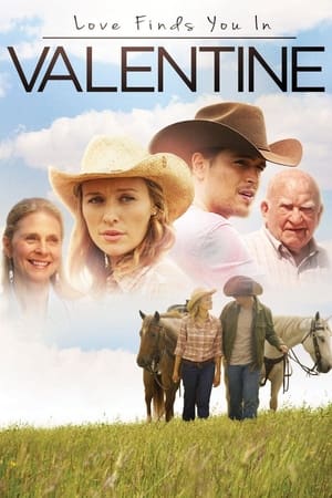 Love Finds You in Valentine (2016) Hindi Dual Audio | Hindi Dubbed Movie BluRay 300MB