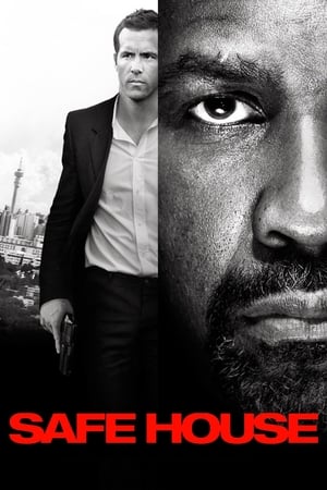 Safe House (2012) Hindi Dual Audio HDRip | Hindi Dubbed Movie – 480p